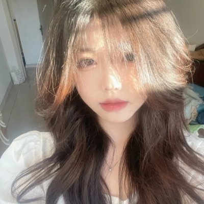 新沙洞燕子